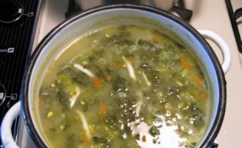 Простые и вкусные рецепты зелёного супа со щавелем